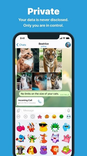 纸飞机Telegram软件截图