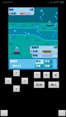 口袋妖怪蓝截图