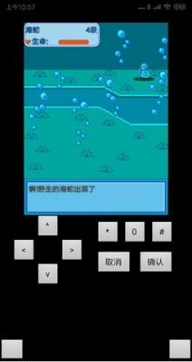 口袋妖怪蓝截图