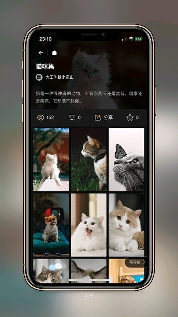 纸塘壁纸vip兑换码截图