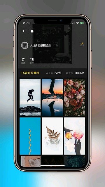 纸塘壁纸vip兑换码截图
