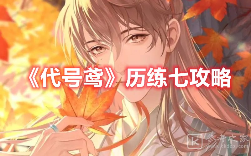 代号鸢历练七攻略