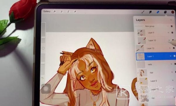 Procreate绘画软件功能介绍 Procreate绘画在线如何设置