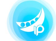 豌豆代理如何在线进行设置 豌豆代理软件中都有哪些功能