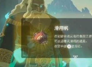 塞尔达传说王国之泪滑翔伞怎么获得 塞尔达传说王国之泪滑翔伞获取途径