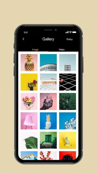 icamera免费版截图