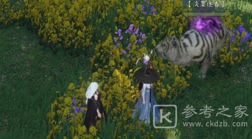 逆水寒手游花烛瓷坐标收集攻略大全-逆水寒手游花烛瓷坐标是啥-乖乖手游网