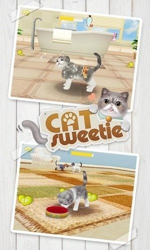 心动小猫截图