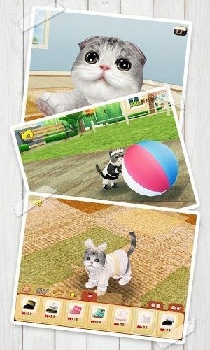 心动小猫截图