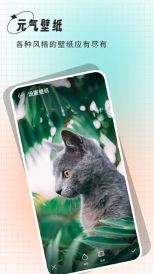 清壁纸截图