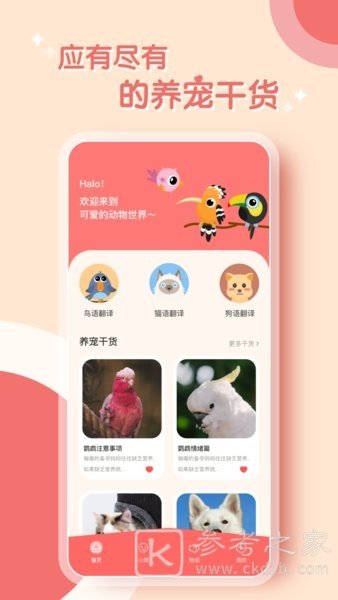 鸟语翻译器免费与鹦鹉对话是真的吗 鸟语翻译器如何在线设置中文