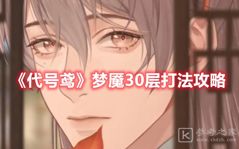 代号鸢梦魇30层打法攻略