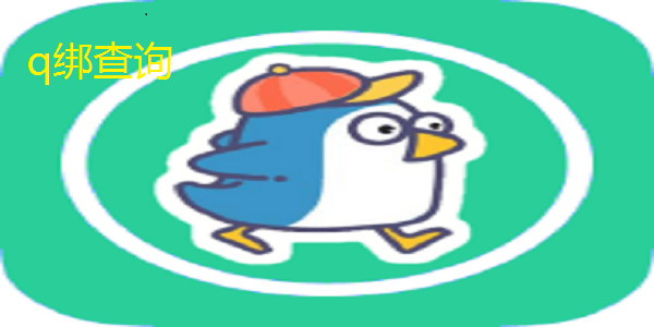 q绑查询