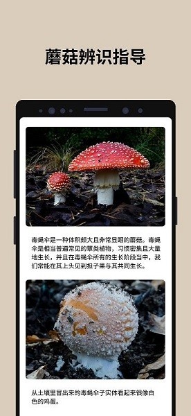 蘑菇识别扫一扫截图