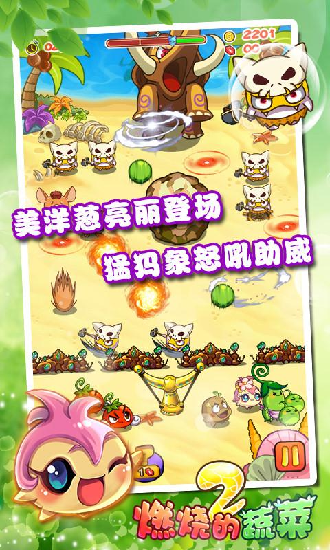 燃烧的蔬菜2内购截图