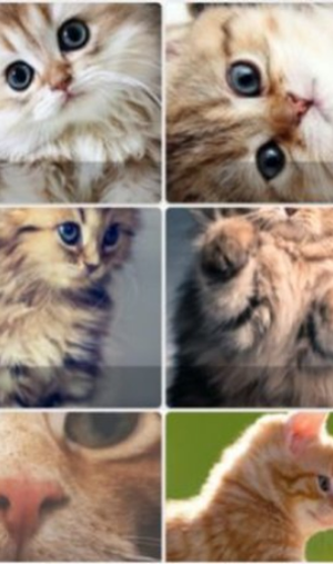 Pop猫壁纸截图