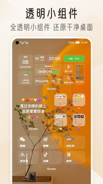 我的桌面iScreen软件截图