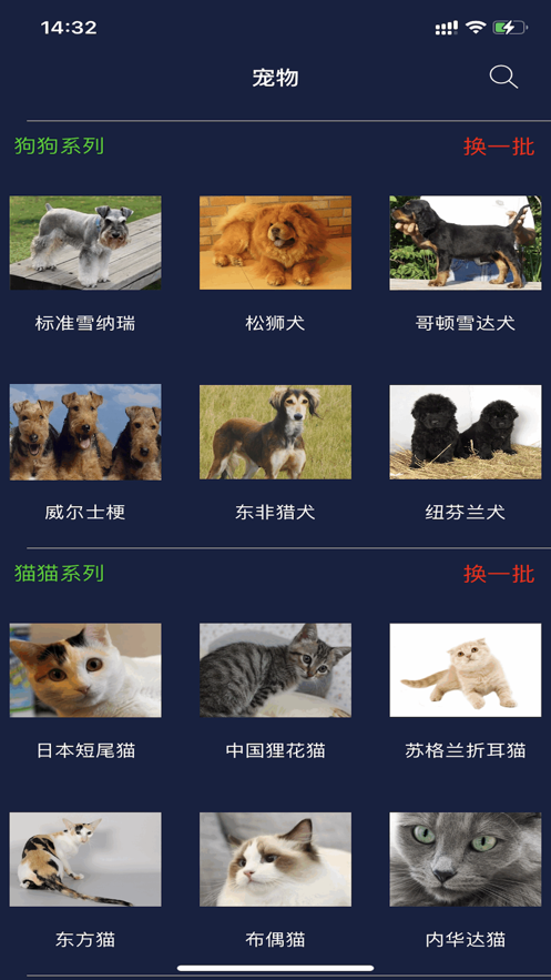 宠物搜搜大全截图