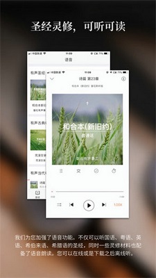 微信转账截图生成器截图