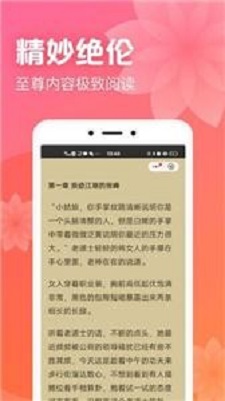 书神小说截图