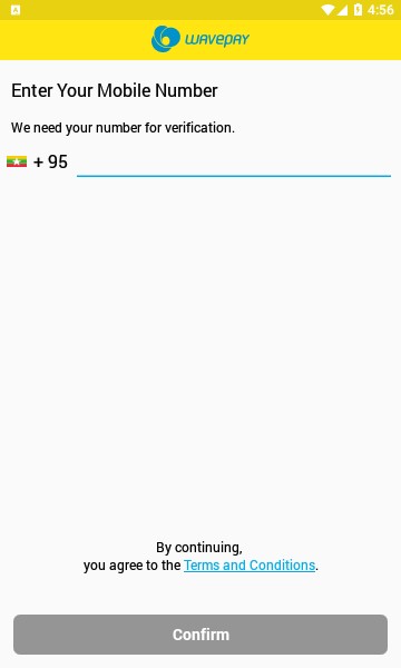 wavepayapp截图