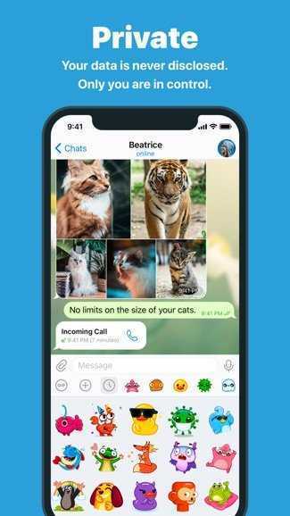 telegreat纸飞机截图