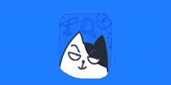 坏猫猫搜索