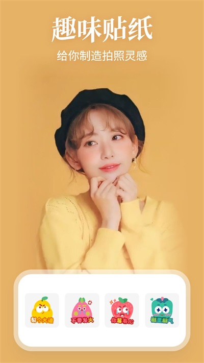 StylePro相机截图