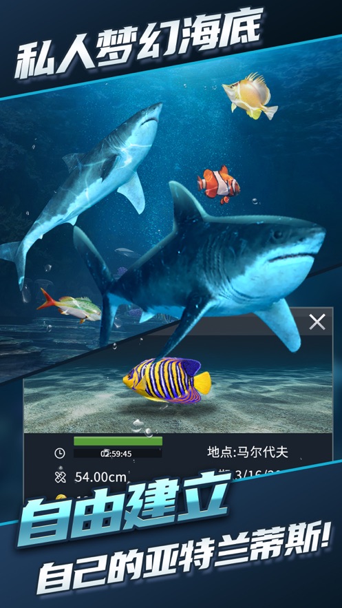 钓鱼达人截图