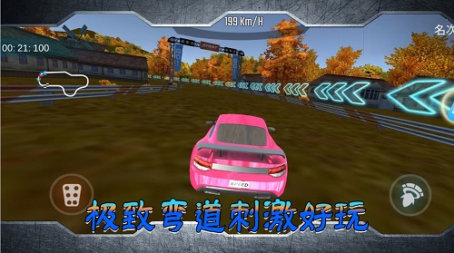 跑车竞技比拼截图