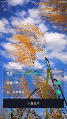 DK主题商店截图