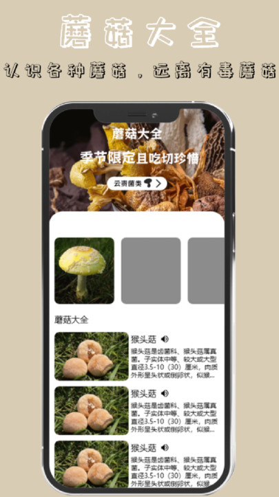 蘑菇识别高手截图
