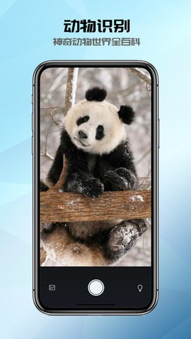 全能识别器手机版截图