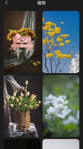 布丁壁纸app截图