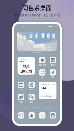 top widgets万能小组件截图