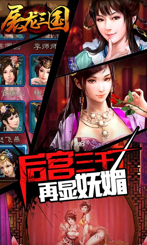 屠龙三国截图