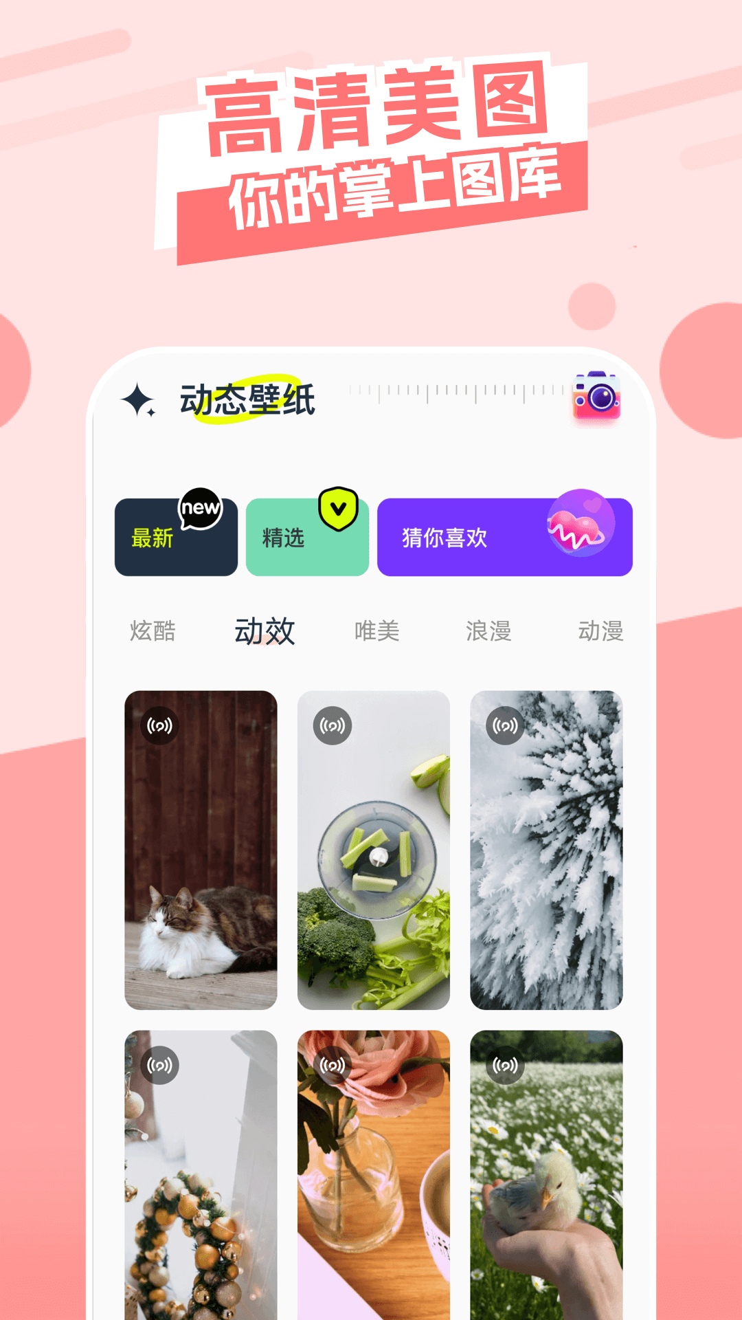 主题库顺来截图