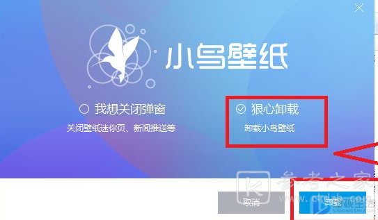 小鸟壁纸怎么彻底删除 小鸟壁纸为什么卸载不掉