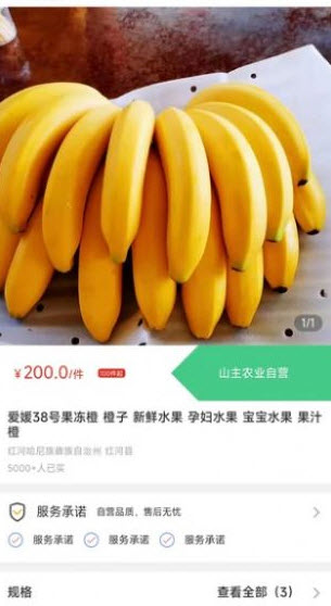 天蕉云果截图