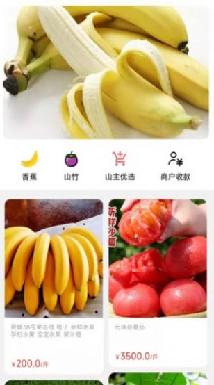 天蕉云果截图