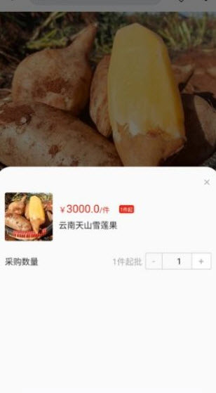 天蕉云果截图