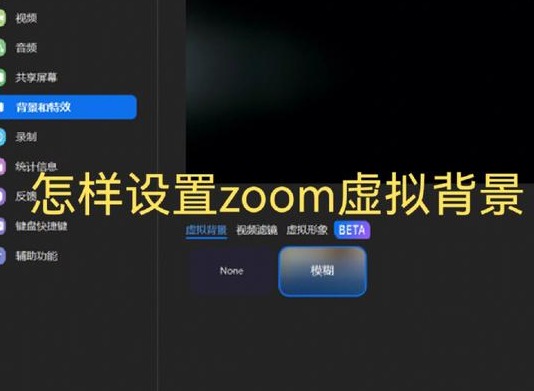 Zoom如何自动消除回声 Zoom怎么设置自动渲染视频