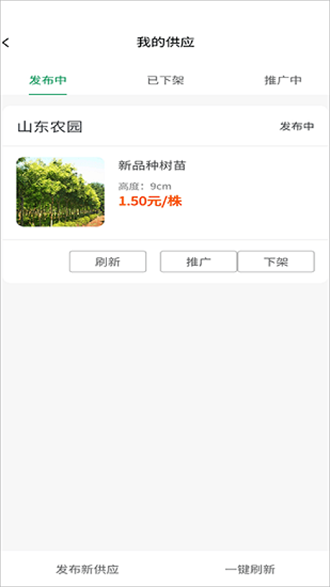 苗木联盟截图