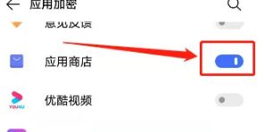  vivo应用商店怎么设置密码 vivo应用商店怎么自动更新软件