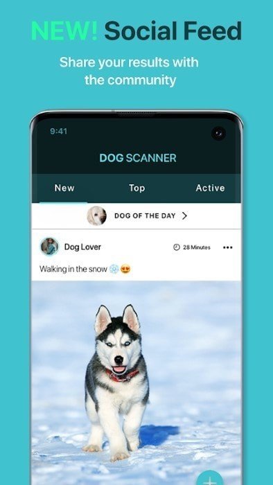 狗狗鉴定器截图