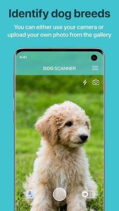 狗狗鉴定器截图