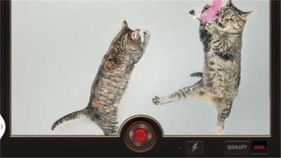 MotionCam软件截图