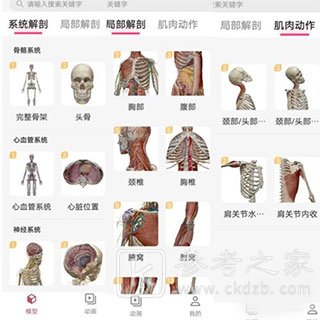 3dbody解剖软件怎么用 3dbody使用流程