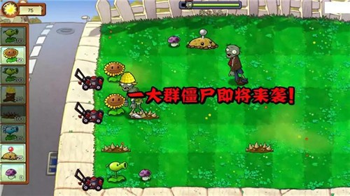 植物大战僵尸重生版截图