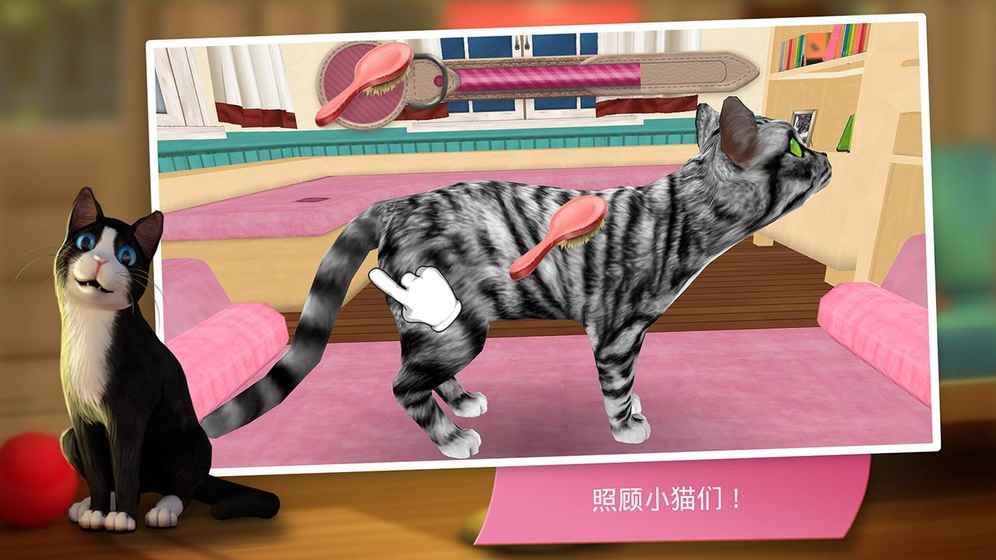 猫咪宾馆截图